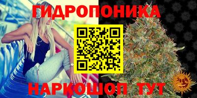 таблы Братск
