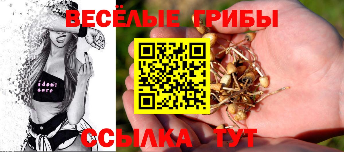 Богородск  купить   Вход с VPN  Псилоцибиновые грибы ЛСД 