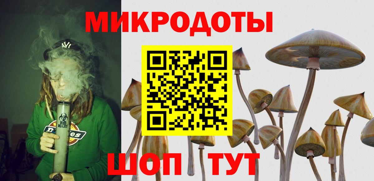 Галлюциногенные грибы Cubensis Богородск